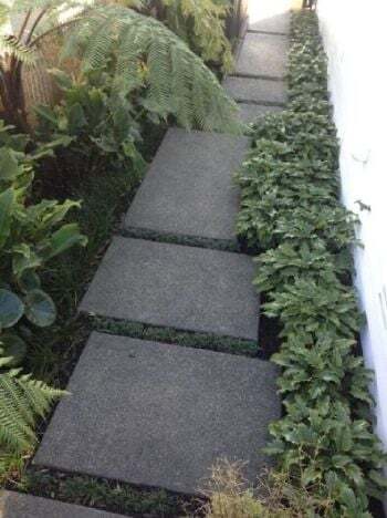 A side path up grade with level descending and ascending off set steppers beautifully finished in a light exposed aggregate concrete. Planted with sub tropicals