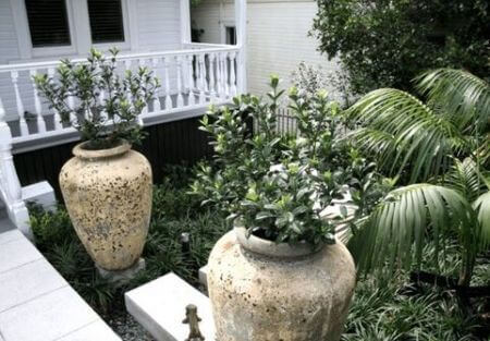 A front entrance up grade and side path to rear using floating Titanuim white concrete steppers.  Planted with Palms and Mondo grasses. 